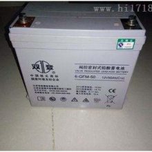 ˫6-GFM-50/12V50AHֻ ֱ