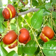 23ֶ硢3ֶһõļǮ