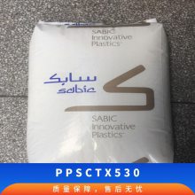 PPS   CTX530 עܼ ȶ ͸ ѧ 