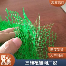 雅安世杰加筋EM5三维植被网 土工固土网垫 为土壤提供保护层