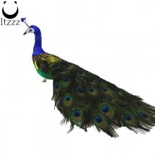 2019Ʒȸڼͥװ