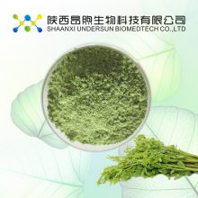 辣木提取物 水溶性辣木粉 昂煦工厂定制加工多规格辣木黄酮