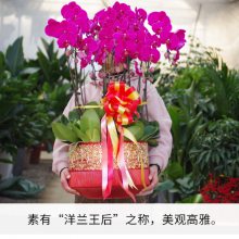 񻨻 컨ֲ ***ֲڻ***