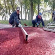 彩色透水混凝土彩色排水地面透水性好强度高