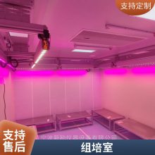 新励组培室规划设计 组织培养室CAD设计图 培养架