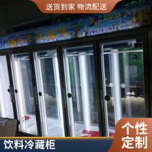 饮料冷柜留样冰箱小型家商用冷藏展示柜带锁 超市饮料冷藏柜