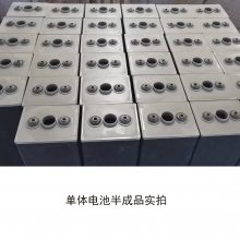 林德叉车E15C牵引蓄电池 24-4PZS560 帅马叉车电池48V560Ah