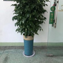 ݸ弲칫ֲɢβҸǮ