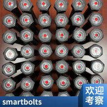Monel 400̼Ӧ ˶400˨ ĸ SmartBoltS-Ӿָʾ˨