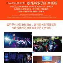 舞台演出扩音系统会场排练音响户外露天音箱 NANO 355（15寸）