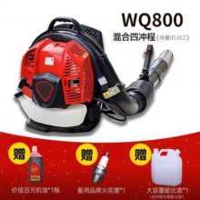 ʹķʹѩҶWQ800 