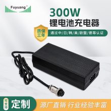 福洋Fuyuang 300W系列锂电池充电器 电动车充电器 源头工厂 支持定制