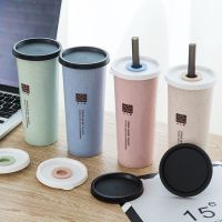 2273小麦带吸管杯成人学生喝水杯双盖塑料随手杯子韩版创意单层杯