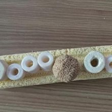 鱼缸中硝化细菌滤材多久换一次