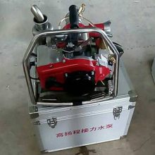 LS-260Яʽɭˮ ɭ ʽɭѹ ƶԶˮ