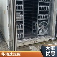 大中小型速冻库 自动控温 各种规格库定做 集装箱冻库 专业正规