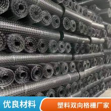 GSL聚丙烯双向拉伸塑料土工格栅TGSG50KN路基加固软土加筋养殖网