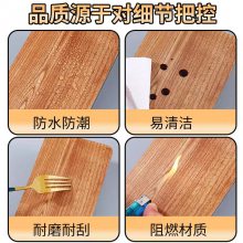 PVC��ǽ�弯��ǽ�� ��ˮ������ȼ �޼�ȩ �װ�װ