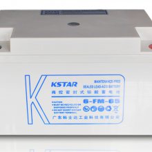 ʿ12V6***H 6-FM-65 Ǧ UPS/EPSֱ󱸵Դ ֻ