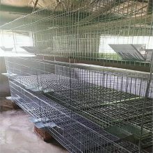 阶梯式兔笼 兔笼批发价格 商品兔笼厂家