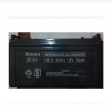 BINSONFM24-12ʽǦά12V24AHܴ۸