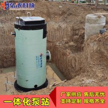 浙江 污水提升泵站 市政雨水排涝泵站厂家