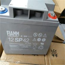 ɽFIAMM***ǦάSP42 12V42AH UPS/EPSصԴ