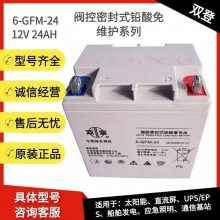 ˫6-GFM-40 12V40AHǦάӦԴֱ