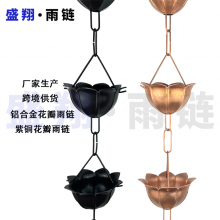 Ͻˮ  ͭװRain?Chains