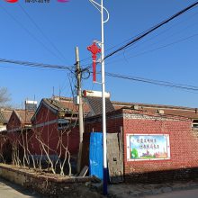 博尔勃特 学校建设太阳能路灯的优点园区道路照明安装简单带中国结灯笼