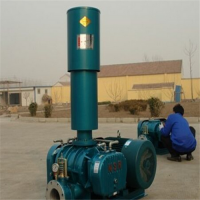 羅茨風(fēng)機(jī)吸糧機(jī)新型 大型多功能吸糧設(shè)備廠家馬鞍山