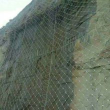 【领冠】陕西汉中生产边坡主动防护网厂家|陕西榆林公路边坡主动防护网