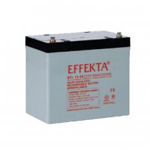 ¹EFFEKTABTL12-60 12V60AH/20HR UPS/EPSרõԴ