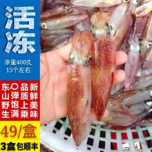 东山小管 活冻鱿鱼 小鱿鱼 甜脆爽口 鲜嫩美味 全国包邮