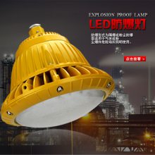 BAD85-M免维护LED隔爆灯圆形棚顶灯50W100W120W