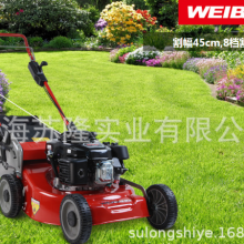 άWB456HH 18Ƹֵ̲ƺݻ 󼯲ݲƺ