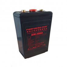϶ GFM-300E 2V300AH NaradaʽǦ ֱ UPSԴ
