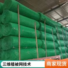 安康世杰EM3固土三维植被网 植草加筋网垫 减少边坡土壤的水分蒸发