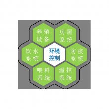 ͨ䳵 㲻ͬѡ