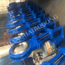 ӦPZ273X-16C Һ˵բ DN500 ҺҺ йӦ