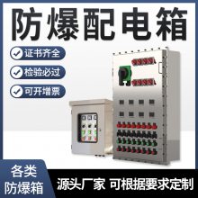 防爆配电箱定制动力照明仪表箱防爆接线箱不锈钢成套控制箱