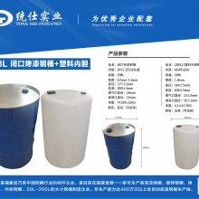 208L闭口烤漆桶+塑料内胆 润滑油桶 化工桶 大铁桶 钢桶 图文定制