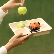 一次性餐盒能进微波加热吗，可降解餐盒可以吗