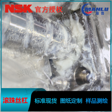 NSK W4006SA-3Z-C5Z12 ׼Ʒ˿ ĸZFT4012-2.5˿