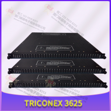 TRICONEX Ӣά˼ MA2211-100S2 ģ ģ