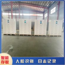 手机智能存放柜 可人脸识别自助存取的保管柜 网络联网软件管理
