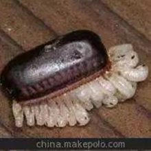 Դĺ|빫˾绰
