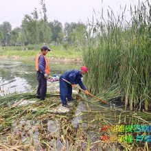 нӱ«έո ԰«έո ʪ«έո רҵĻרҵ