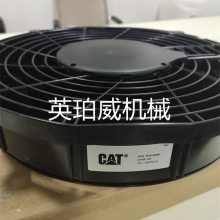 ط𶯻2371962CATCAT