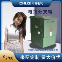 10KV高压电缆分支箱35KV充气柜固体环网柜